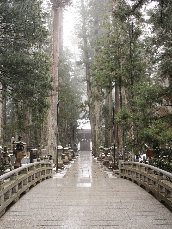 A path through cedar trees on Mount Koya